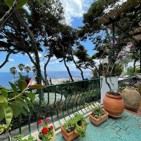 Terrazza Mare Marina Piccola Apartment กาปรี ภายนอก รูปภาพ
